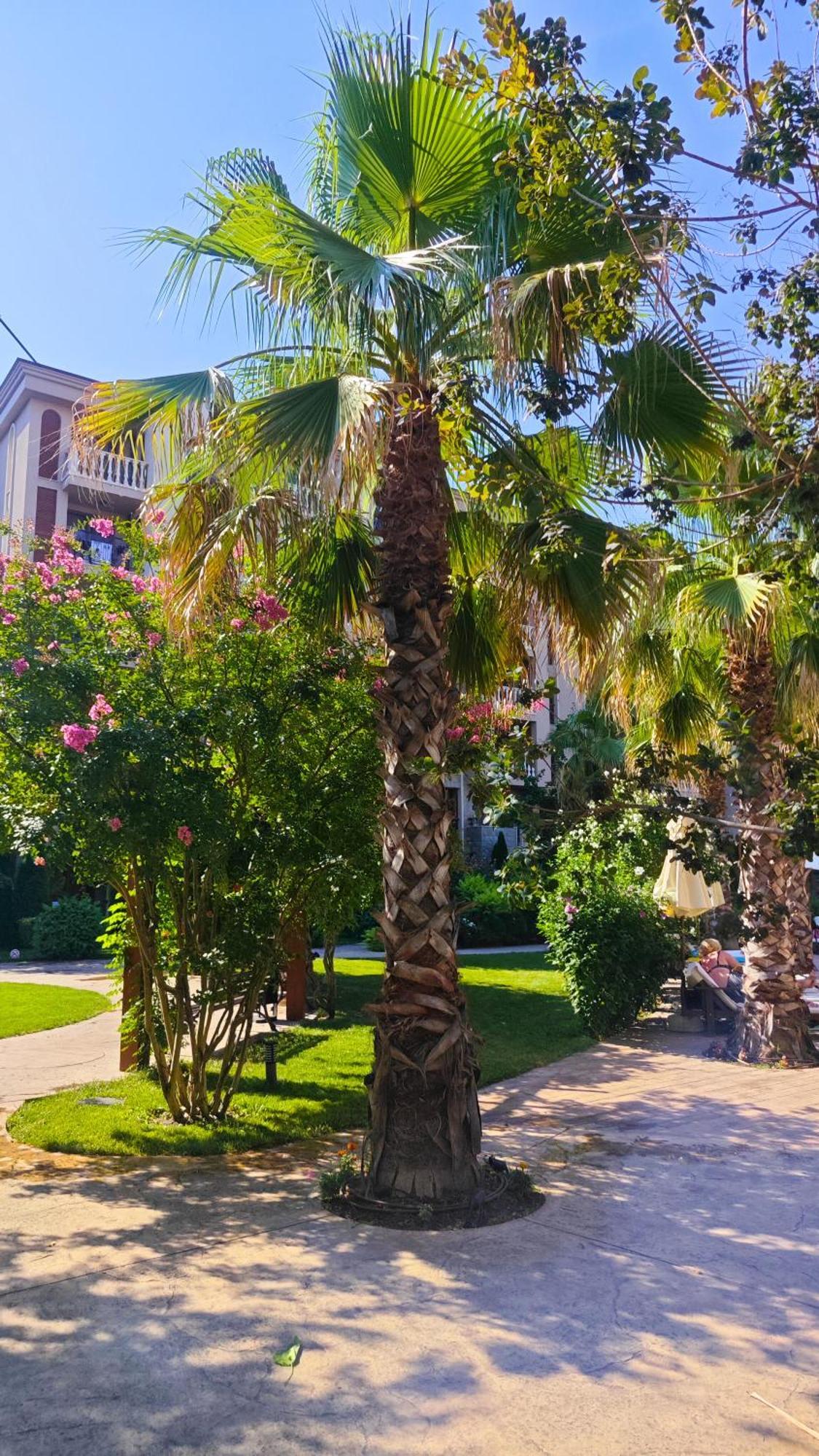 Attractive Family Apartment In Sunny Beach Cascadas Family Resort Eksteriør bilde